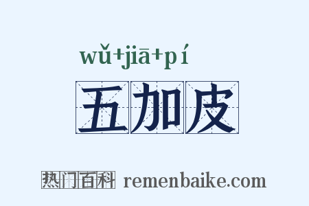 五加皮是什么意思的图片